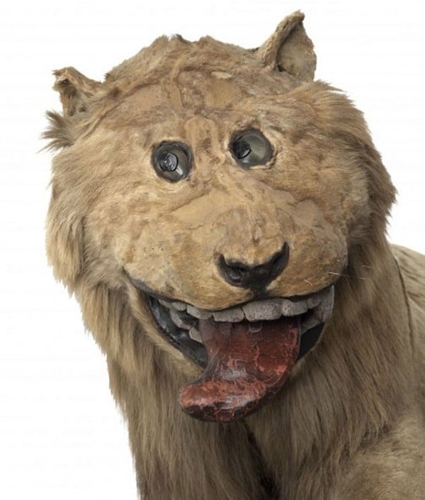 lion of gripsholm 1