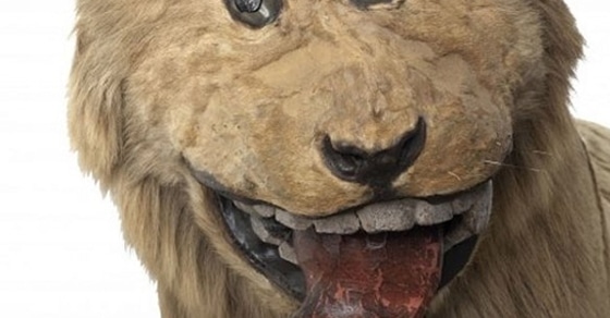 The Lion Of Gripsholm Castle: 18th Century Bad Taxidermy Fail